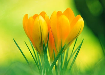 Foro Tecnología del concreto