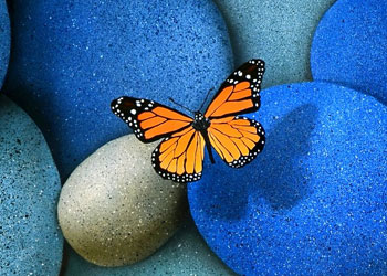 Foro Tecnología del concreto